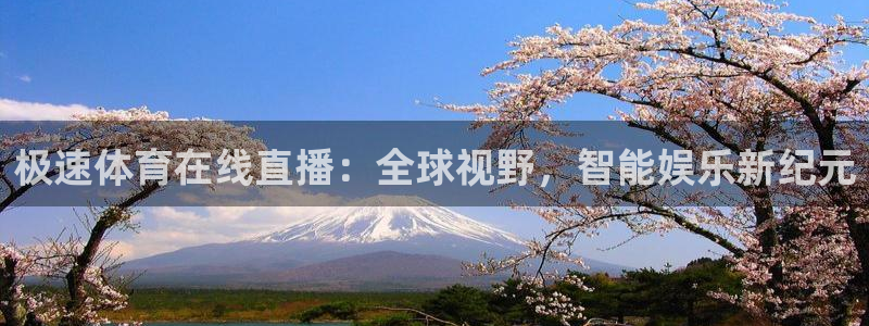 极速体育在线直播：全球视野，智能娱乐新纪元