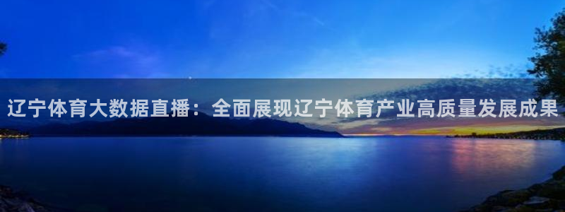 辽宁体育大数据直播：全面展现辽宁体育产业高质量发展成果