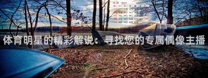 体育明星的精彩解说：寻找您的专属偶像主播