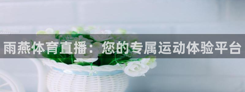 雨燕体育直播：您的专属运动体验平台