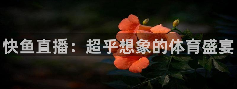 快鱼直播：超乎想象的体育盛宴