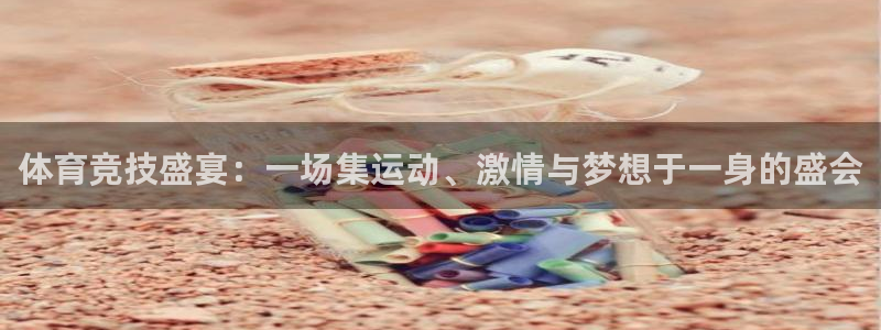 体育竞技盛宴：一场集运动、激情与梦想于一身的盛会