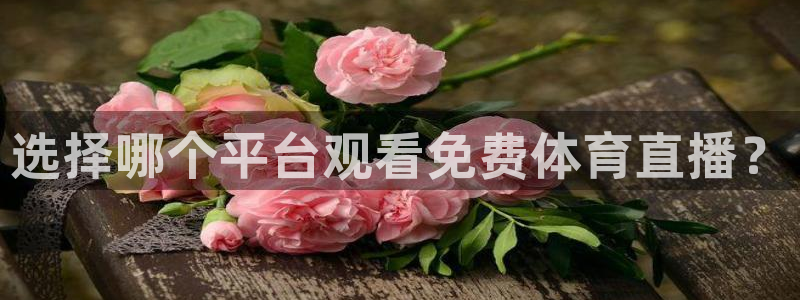 选择哪个平台观看免费体育直播？