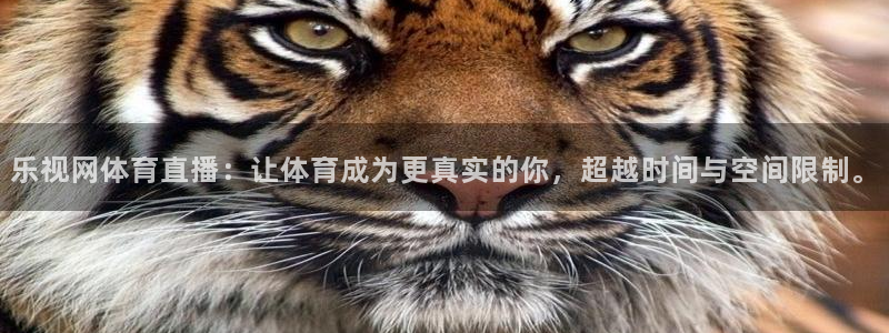 乐视网体育直播：让体育成为更真实的你，超越时间与空间限制。