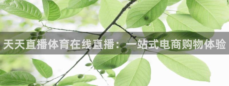 天天直播体育在线直播：一站式电商购物体验