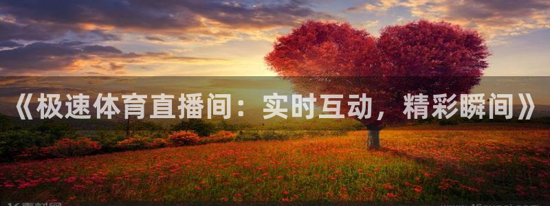 《极速体育直播间：实时互动，精彩瞬间》