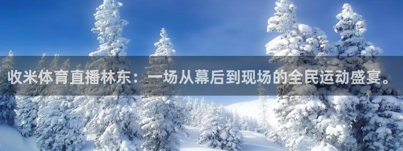 收米体育直播林东：一场从幕后到现场的全民运动盛宴。